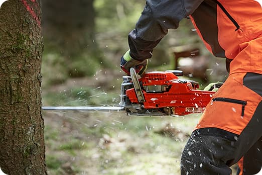 伐採・枝打ち・剪定